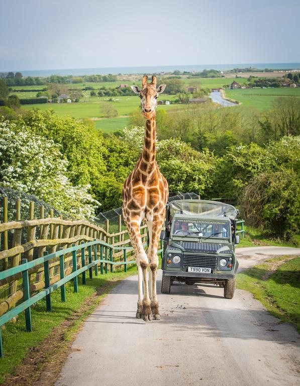Port Lympne Mansion Hotel Kültér fotó