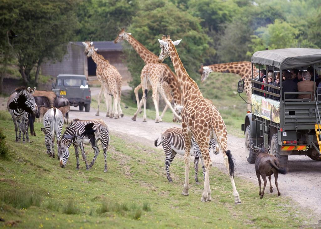 Port Lympne Mansion Hotel Kültér fotó